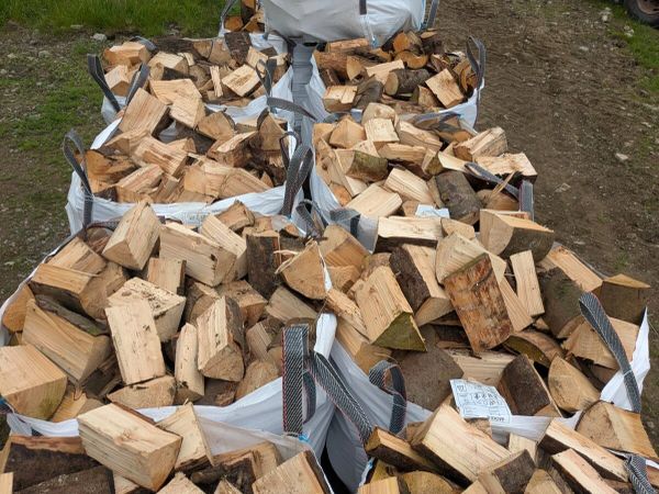 Firewood - Main image