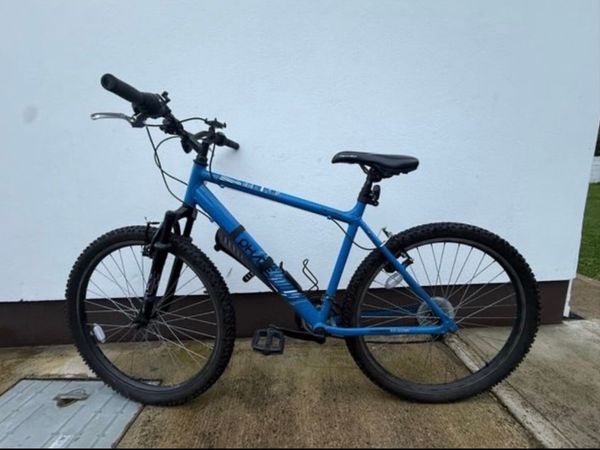 Adult Bike - Main image