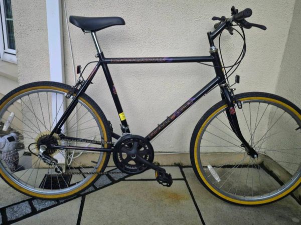 Raleigh 10 Speed Mountain Bike - Main image