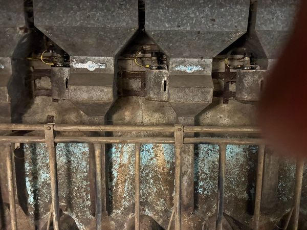 24 Fullwood feeders - Main image