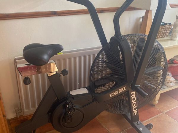 Rogue Echo Bike / Assault Air Bike / Exercise Bike - Main image