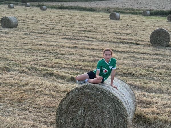 Top Quality Horse Hay 2026 - Main image