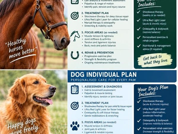 Equine & Canine Therapy - Main image