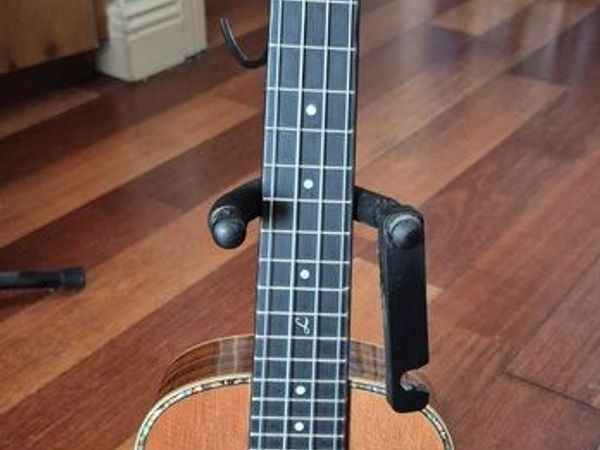 Freshman Ukulele - Main image