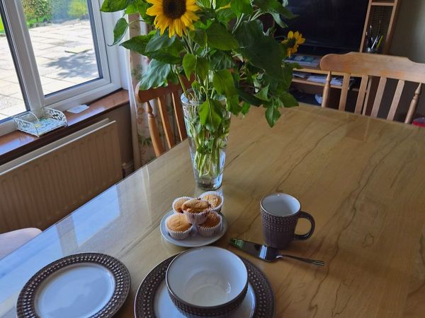 Denby 16 Piece dinner set - Main image