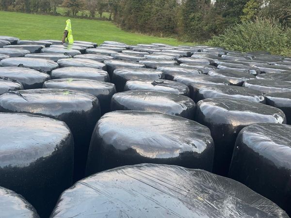 bales of silage - Main image