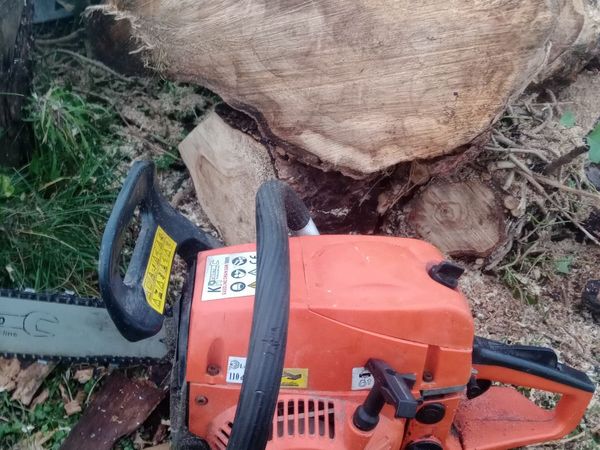 Chainsaw - Main image