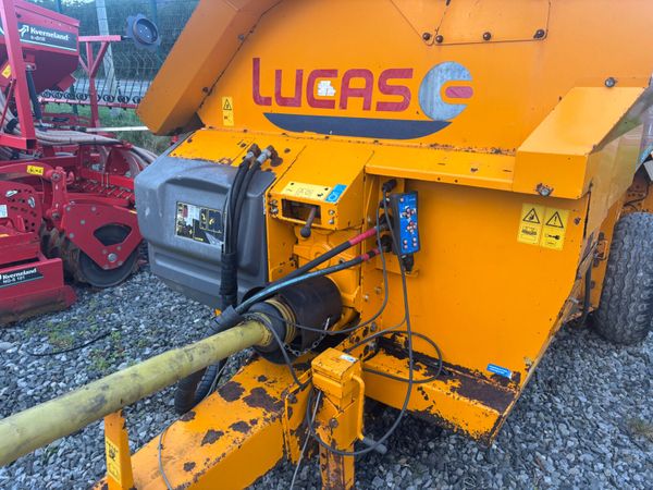 Lucas G Castor 30 - Main image
