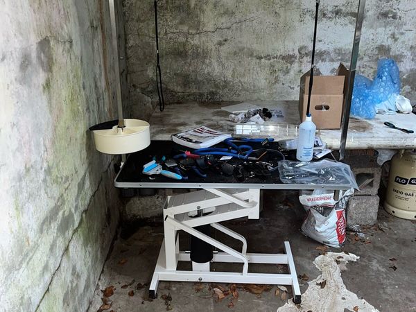 Dog Grooming Equipment Bundle with Hydraulic Table - Main image