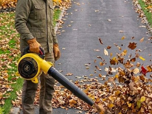 Leaf Blowers 5 Year Warranty - Main image