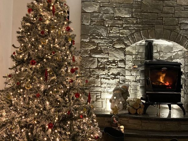Christmas Tree for SALE - Main image