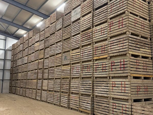 Potato boxes - Main image