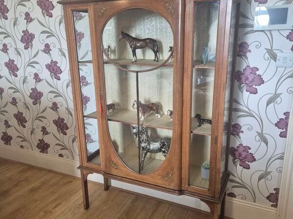 Edwardian Mahogany display cabinet - Main image