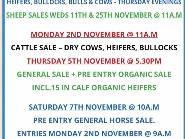 Gort Mart: Thursday 29th October : Entries - Main image