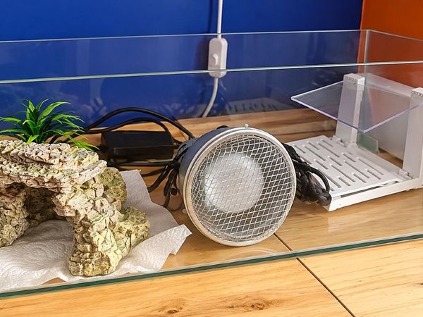 🐢 Turtle Aquarium / Glass Tank with Accessories - Main image