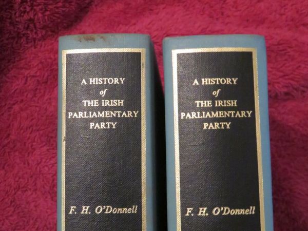 Irish parliamentary party - Main image