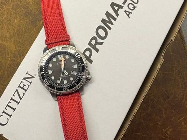 Citizen Promaster Eco Drive Watch - Main image