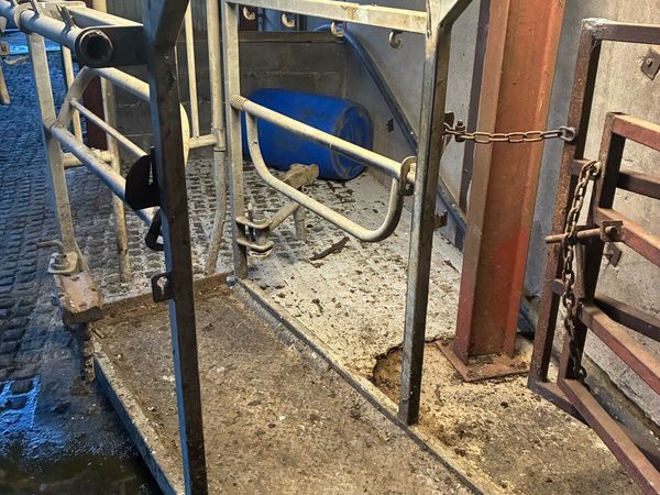 Nugent Hoof paring crate - Main image