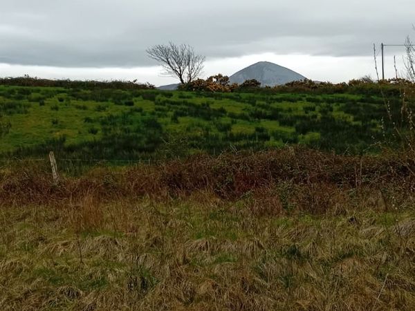 Land for Rent Rosmoney Mayo - Main image