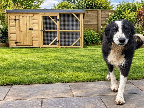 Dog kennel & enclosure - Main image