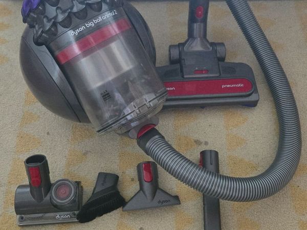 Dyson Big Ball Animal 2 - Main image