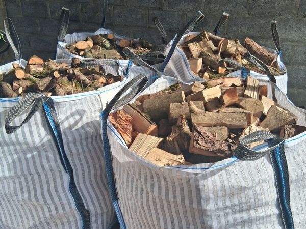 Timber - Main image