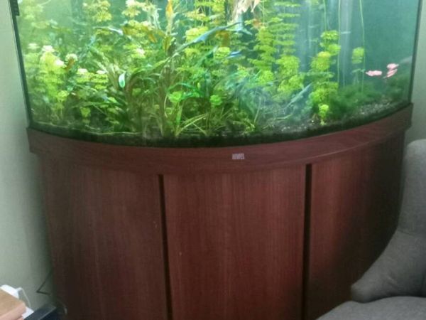 Corner aquarium JUWEL - Main image