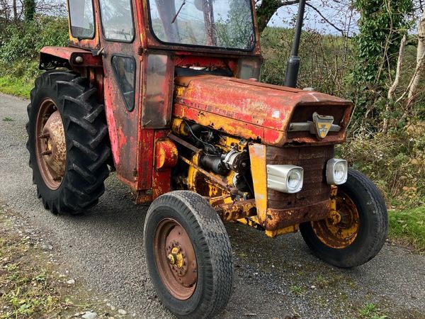 Massey Ferguson 135 - Main image