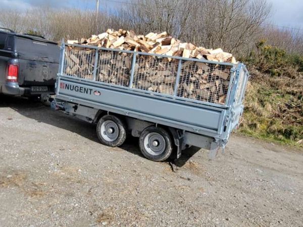 🔥Ash firewood🔥 - Main image