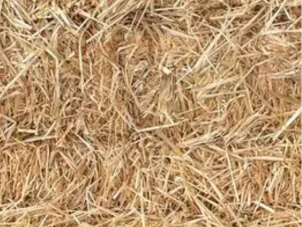 Small square bales straw - Main image