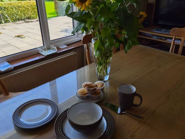Royal Albert Vintage Nosegay China plates - Main image