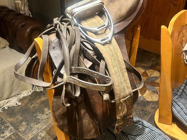 Saddle and bridle - Main image