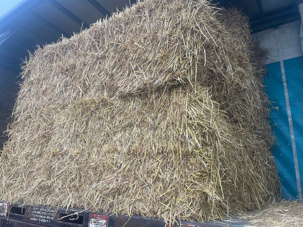 Straw - Main image
