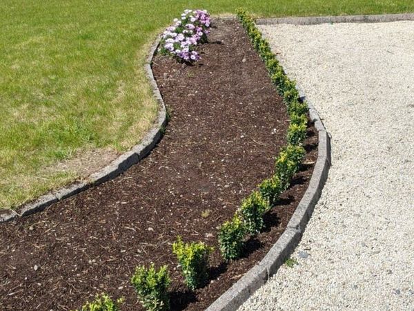 Box Hedging - Main image
