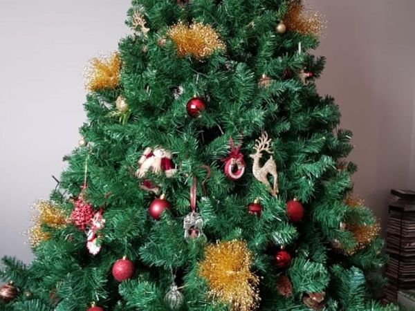 Christmas tree for sale - Main image