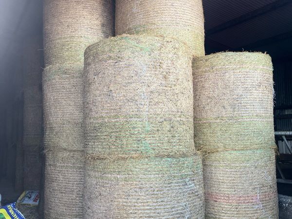 organic hay - Main image