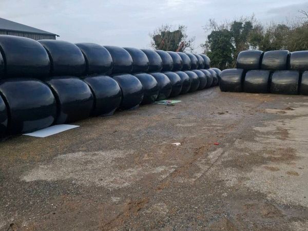 Maize bales - Main image