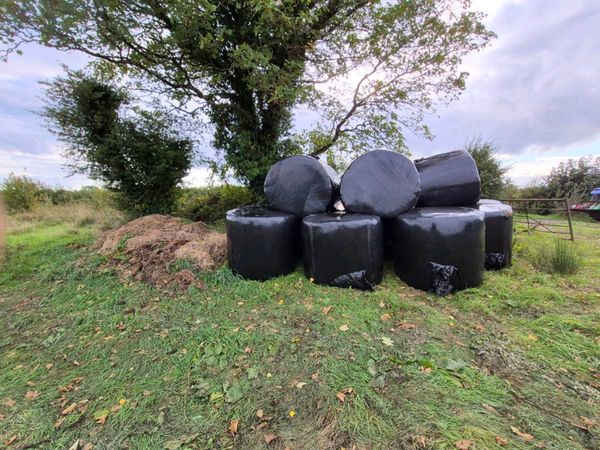 Silage - Main image