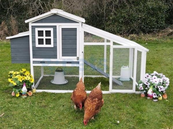 Chicken Coop - Main image