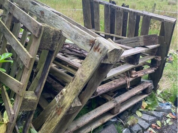 Old pallets - Main image