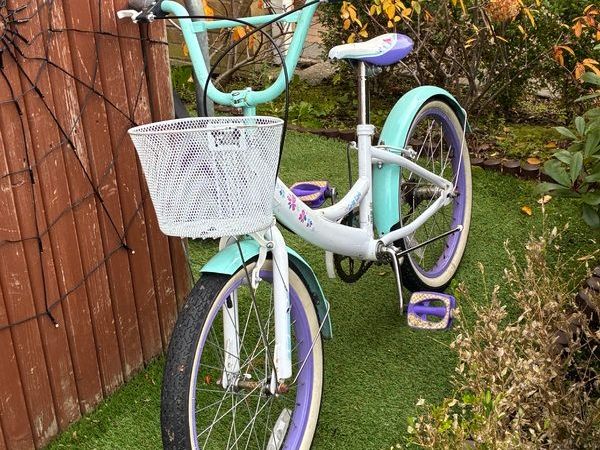 Bicycle and Gym High Bar - Main image
