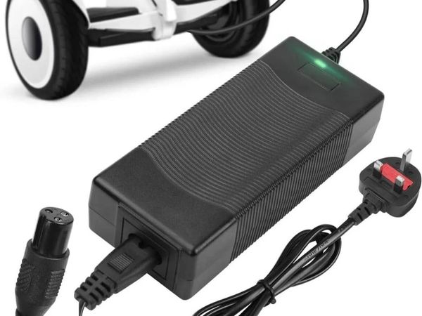 Universal Scooter Charger Power Adapter - Main image