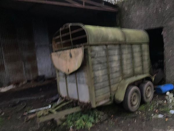 Twin cow trailer - Main image