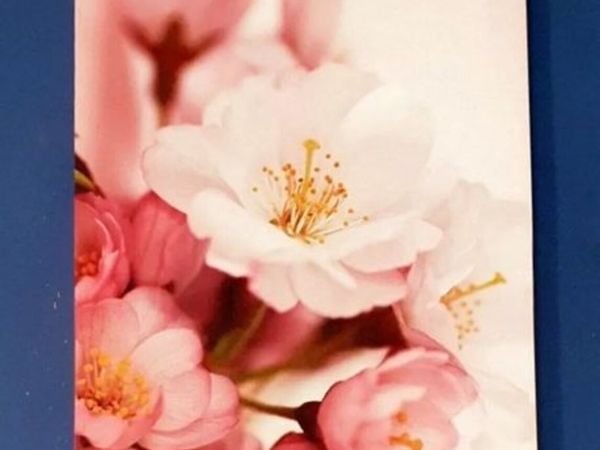 Pristine Vintage Harrods Canvas Art (3ftx18") - Main image