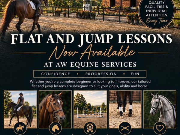AW Equine Services - Main image