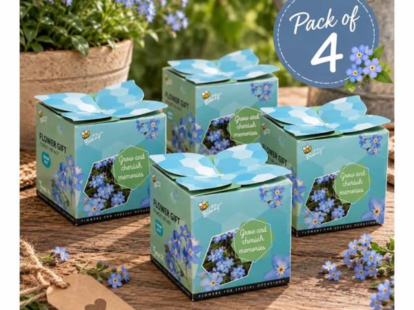 Buzzy Forget-Me-Not flower gift - pack of 4 - Main image
