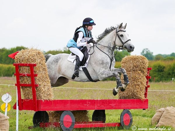 148 SJ & XC Schoolmaster - Main image