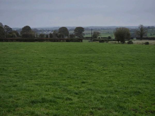 Winter Grazing - Main image
