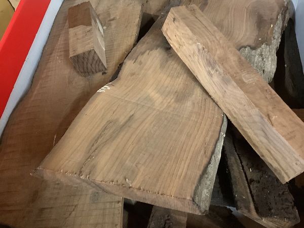 Bog oak and Bog Yew - Main image
