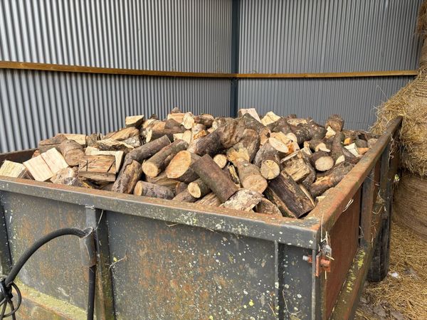 Firewood - Main image